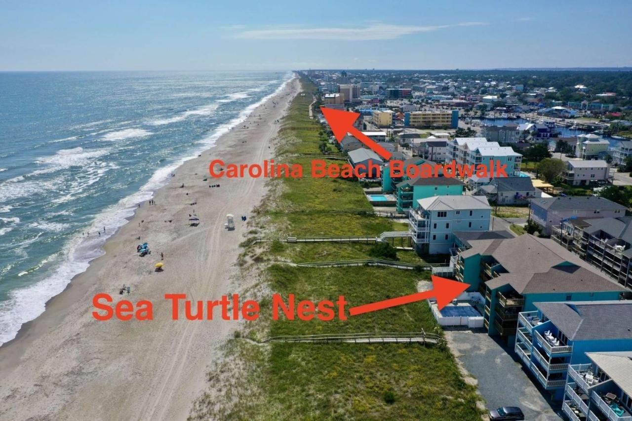Sea Turtle'S Nest Villa Carolina Beach Exteriör bild